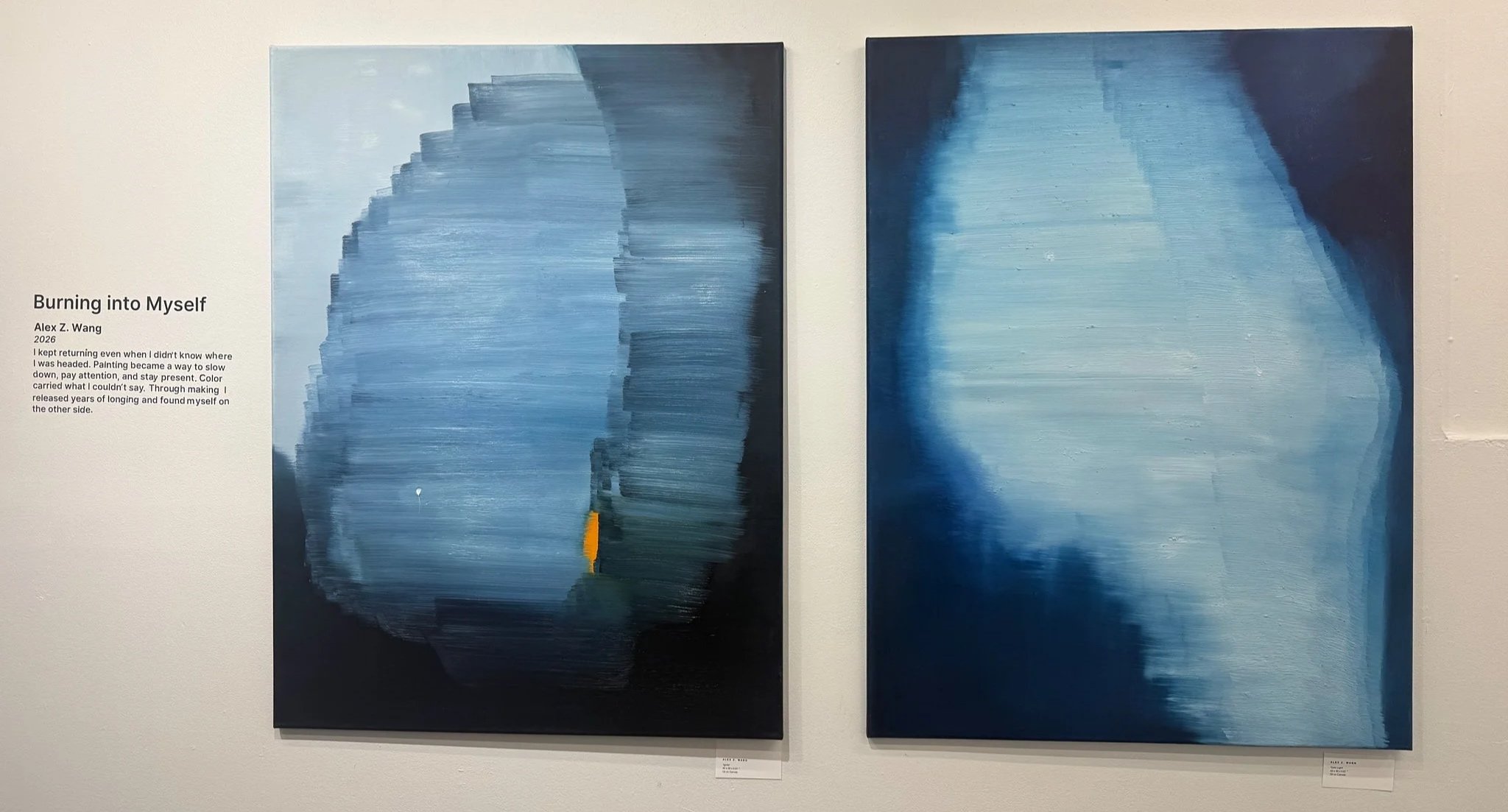Exhibitions | Discover Art—Join the Experience — Collective Z